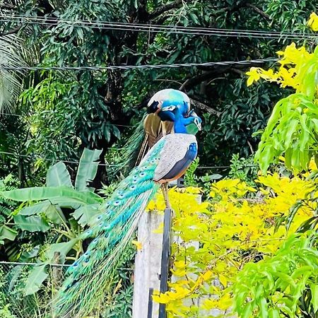 Nil Arana Resort Polonnaruwa Dış mekan fotoğraf