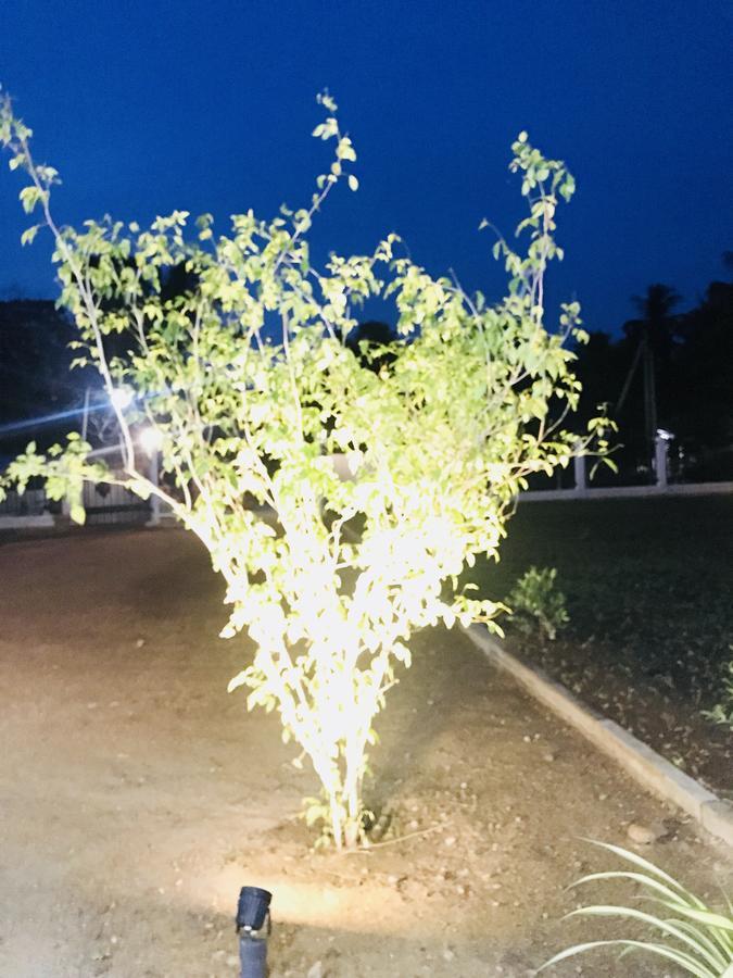 Nil Arana Resort Polonnaruwa Dış mekan fotoğraf